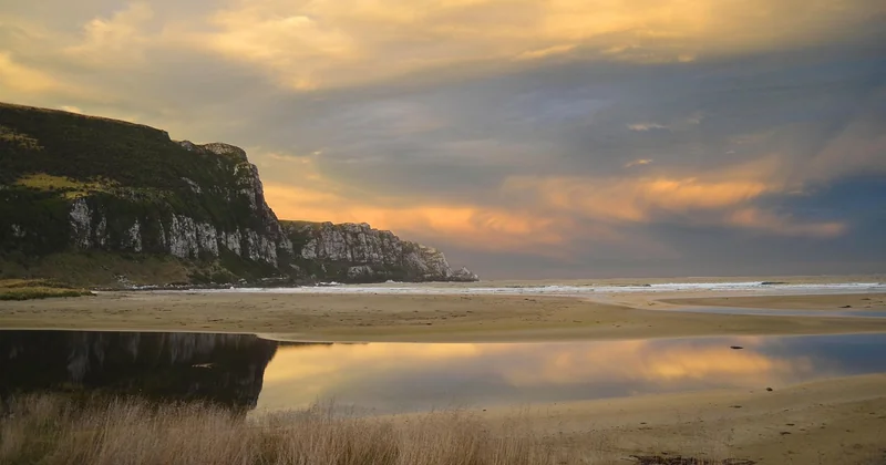 Loi Littoral et zones humides : le vrai mur n'est pas technique
